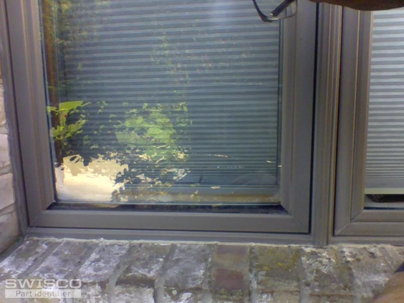 webcam-10/12/2019, 10:03:50 AM