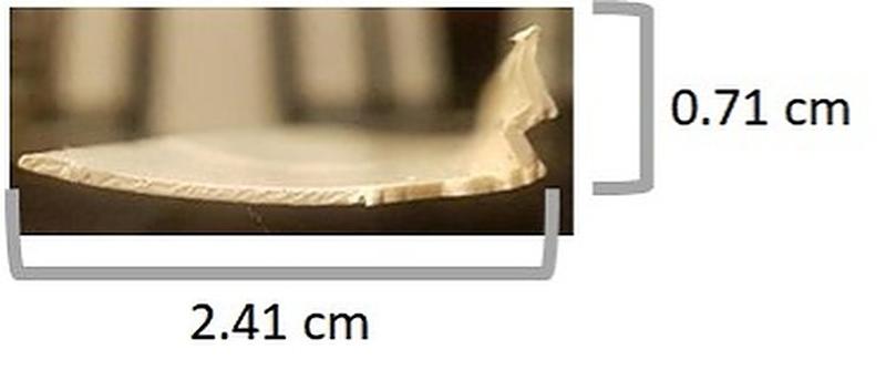 window bead