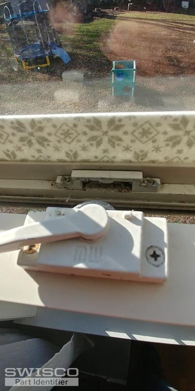 Window1