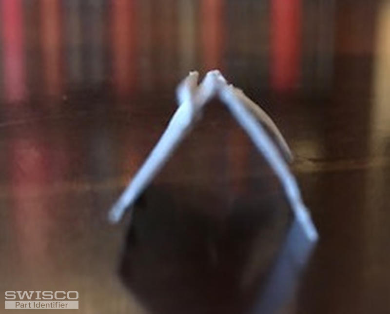 IMG_7017