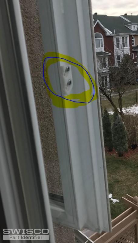 window