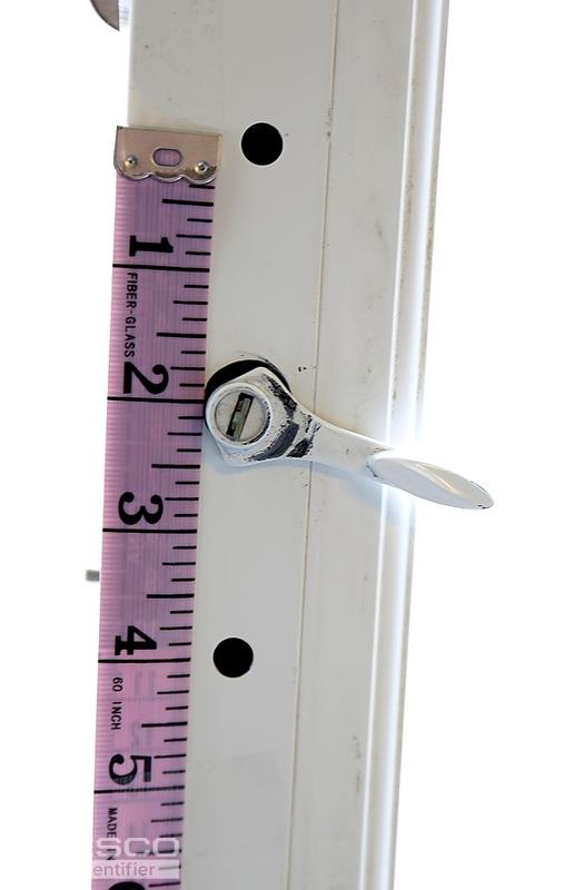 3A6A5038 small cropped