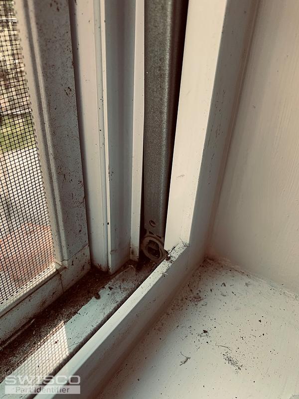 window2