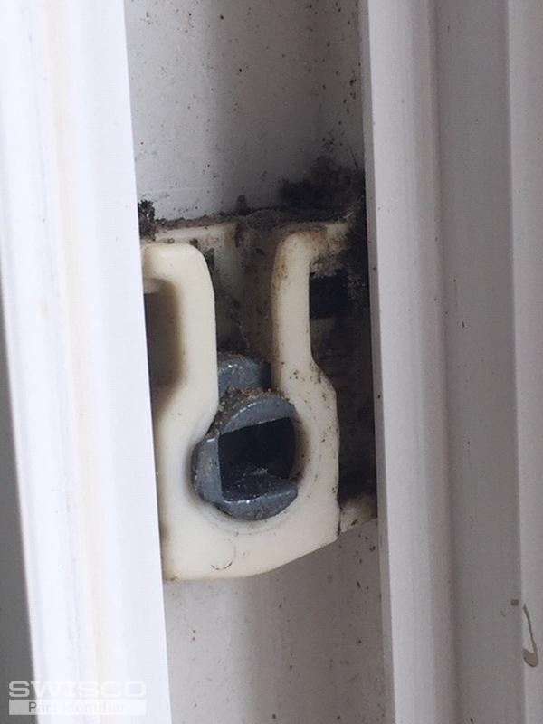 Window_Shoe