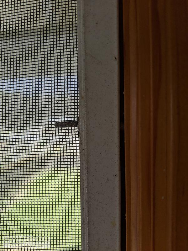 IMG_20200403_100321