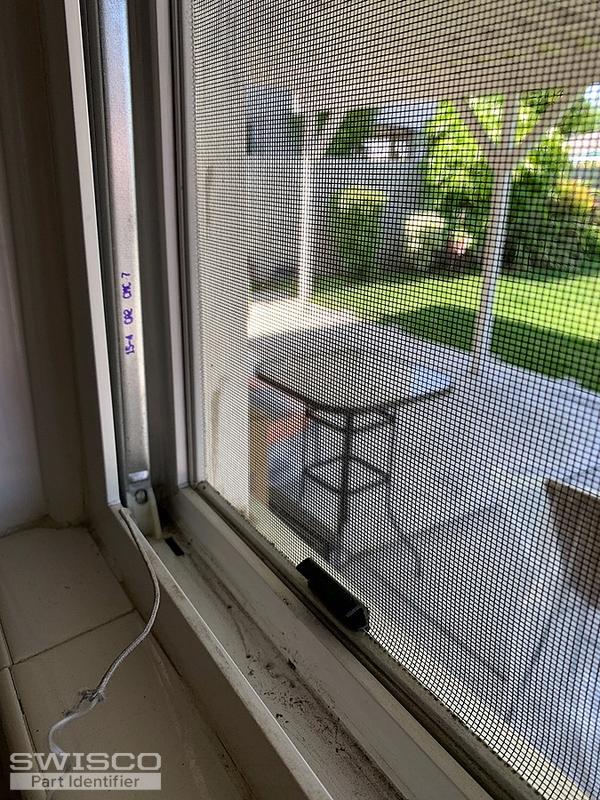 IMG_1081