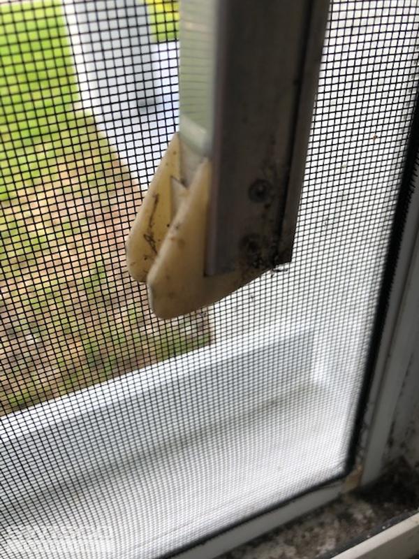 Sue.Prytherch.Window.Photo9