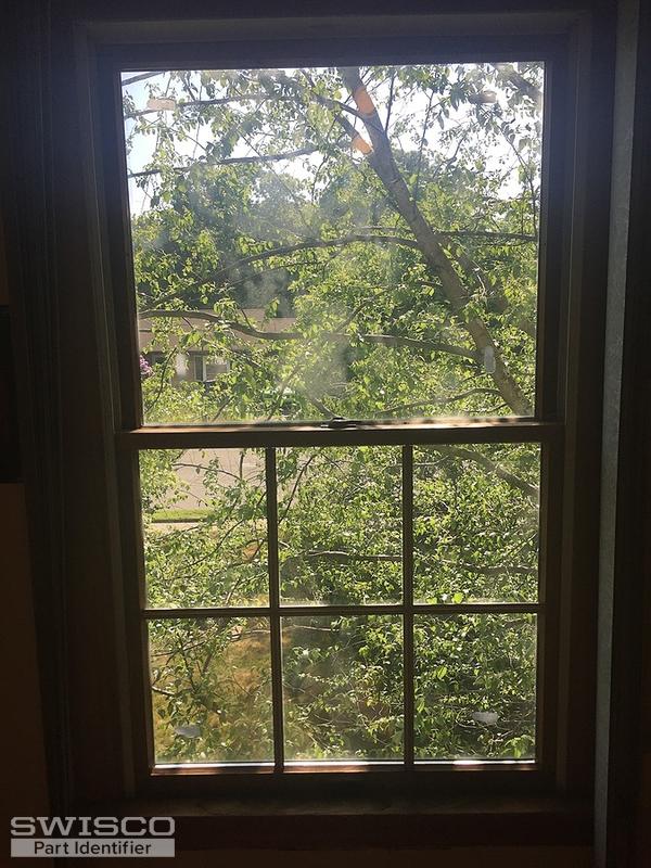 IMG_0910