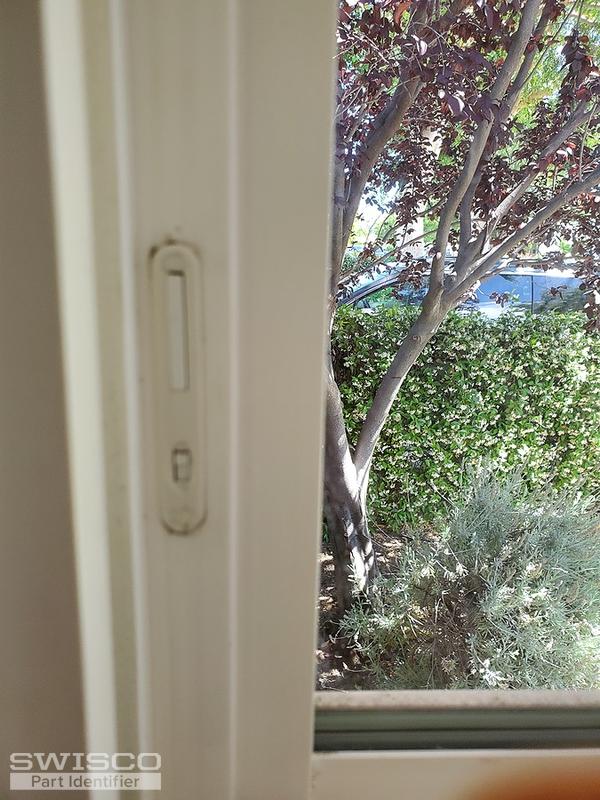 window