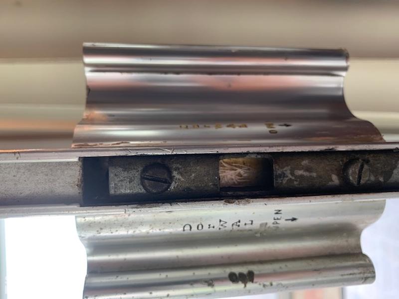 image2 (6)