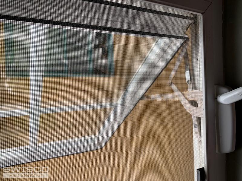 window 1