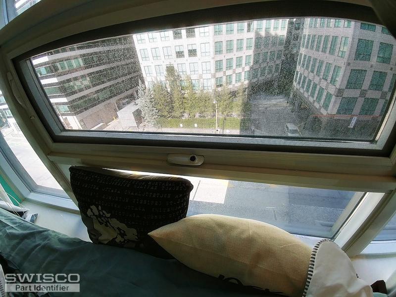 20200806_170439_HDR