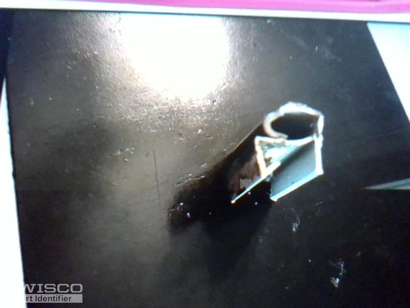 webcam-8/10/2020, 8:18:47 AM