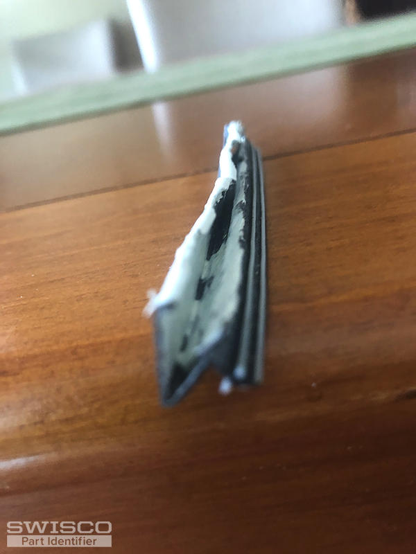 IMG_2962