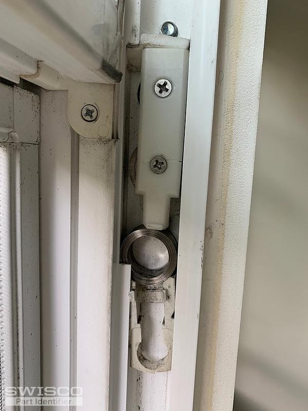 window5