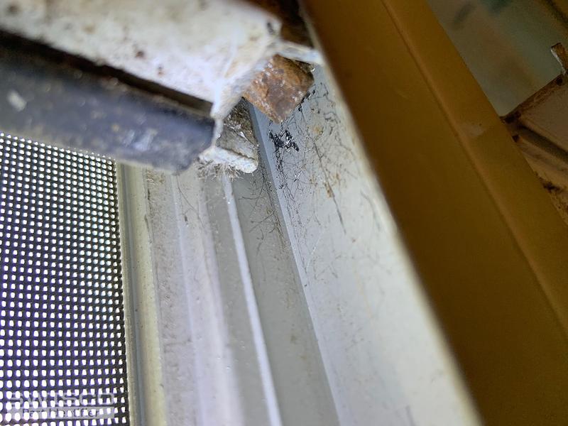 Window Sash Picture
