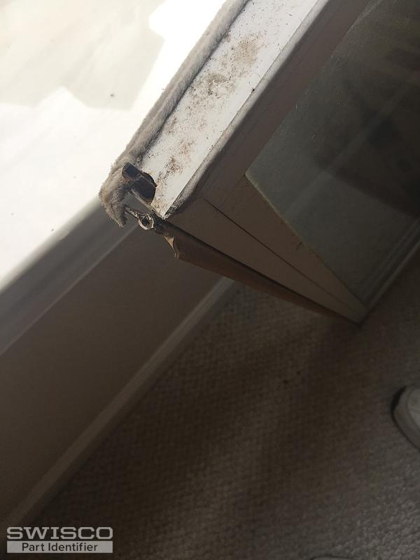 Window2