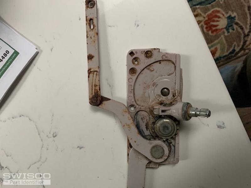 image1 (1)