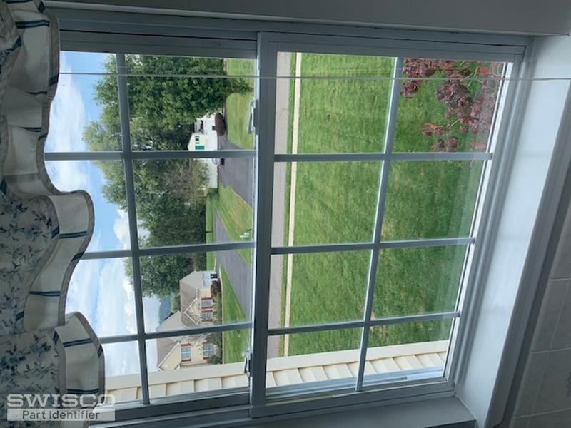 Window Picture