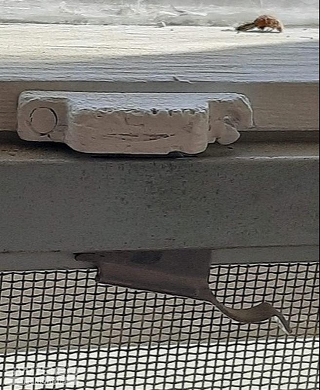 window part pic number two