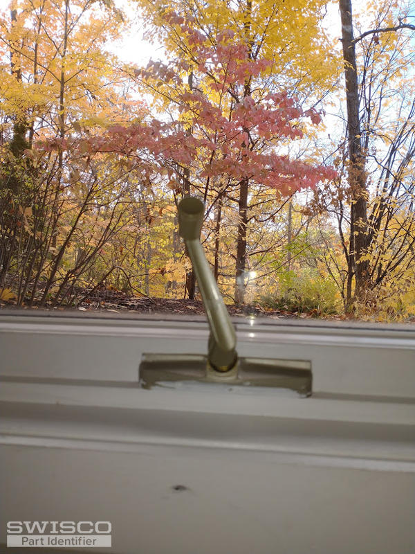 IMG_20201024_110208511