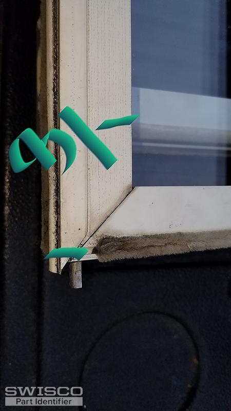 Gasket (3)