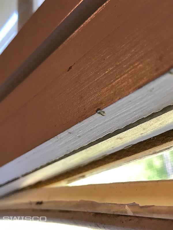 Offset Kerf Window Weatherstripping