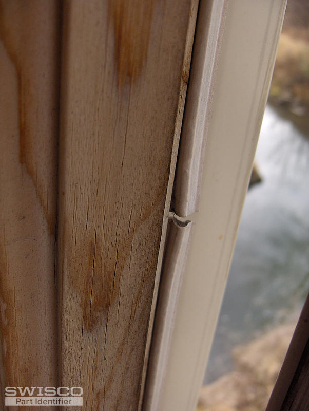 window 004