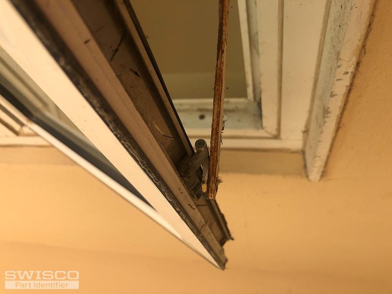 Pic 5