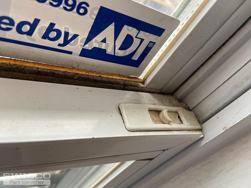 IMG_5543