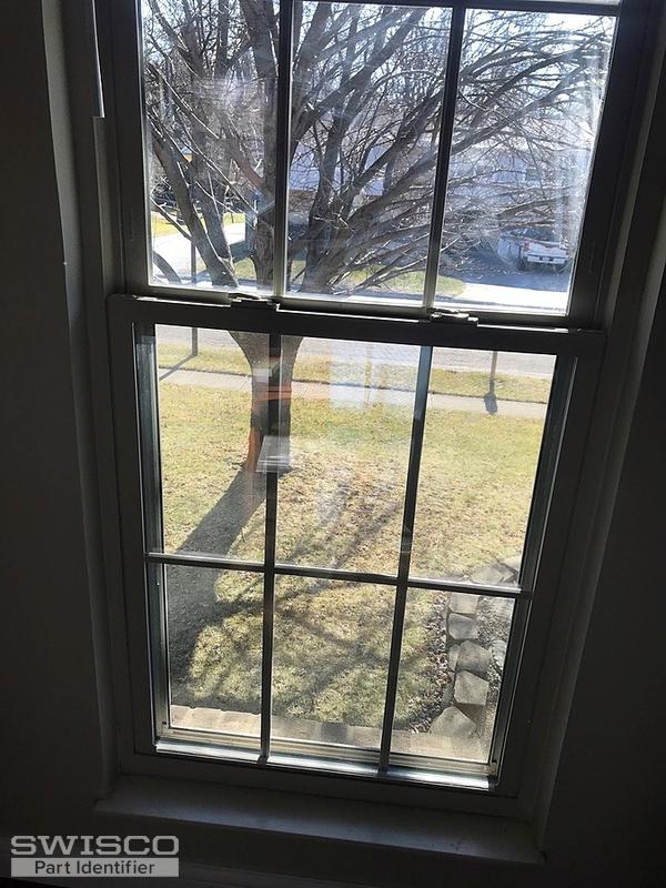 window