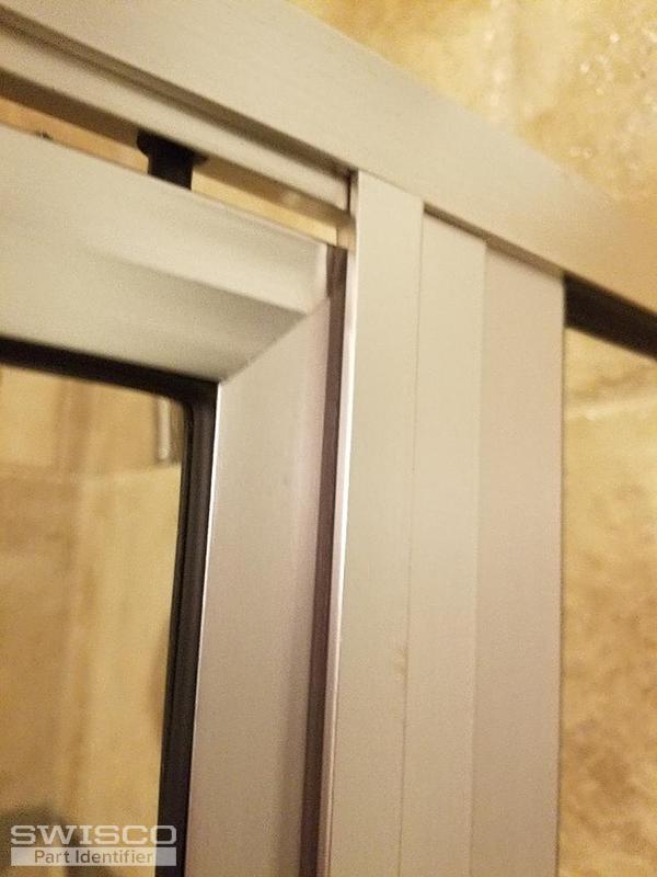 shower door 1
