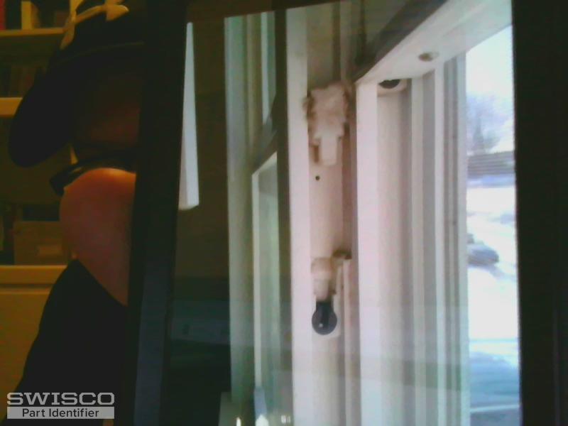 webcam-3/1/2021, 9:44:10 AM