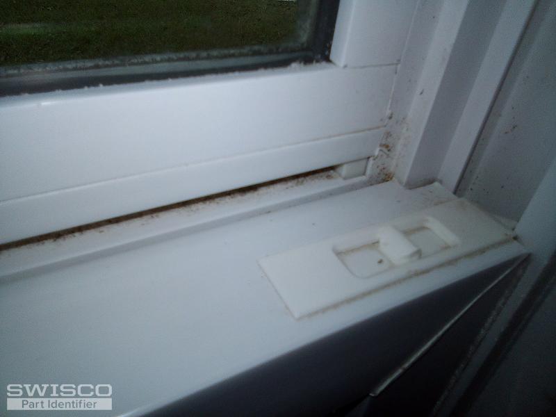 bathroom window 3