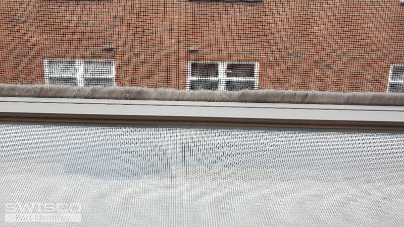 bottom of window