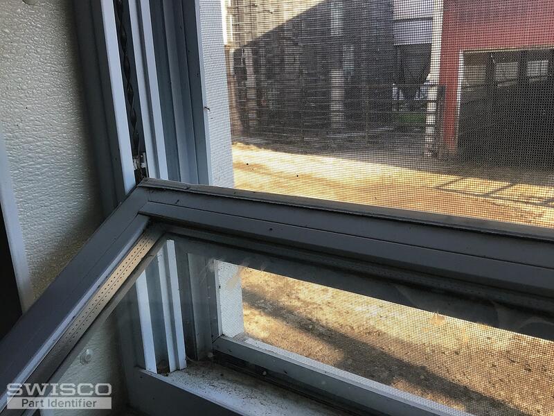 WINDOW 5