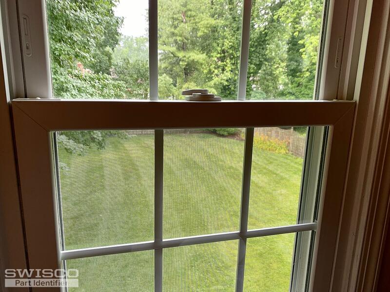Window3