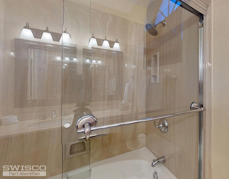 shower door 2
