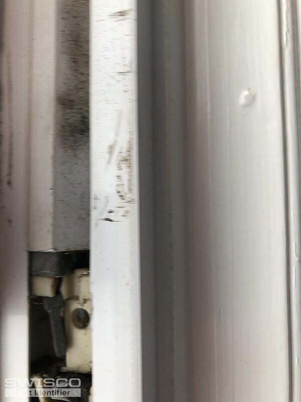 60270108-007F-4009-90D9-642B8509605E