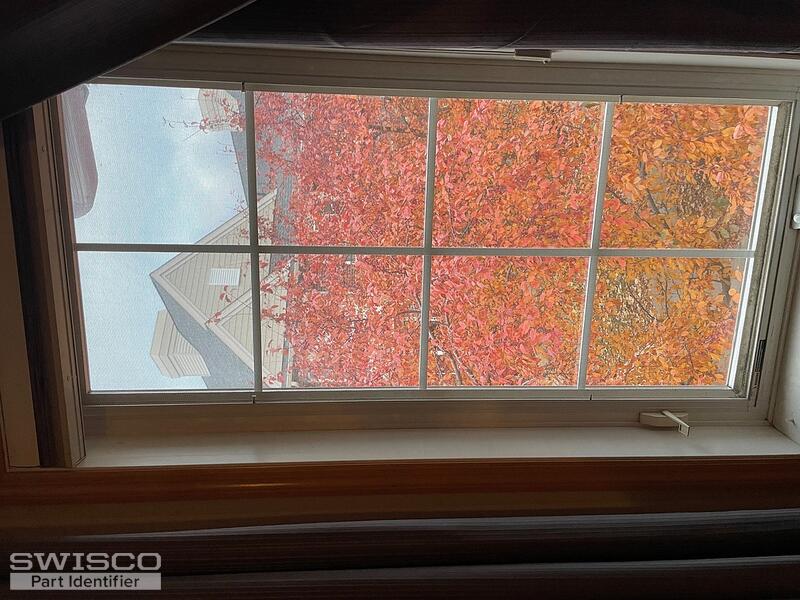 Window 1