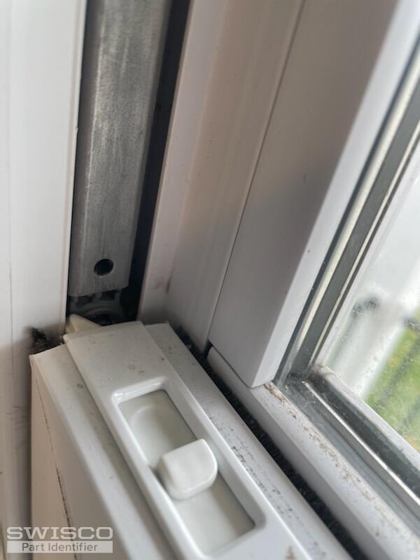 IMG-4767