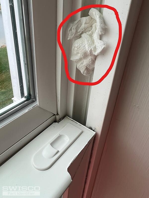 window2