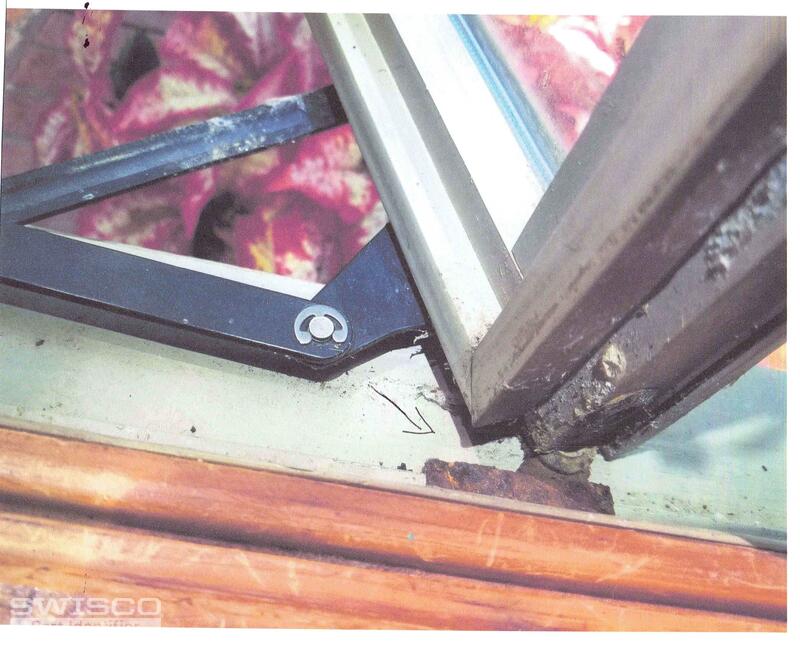 Ariel Windows (1)
