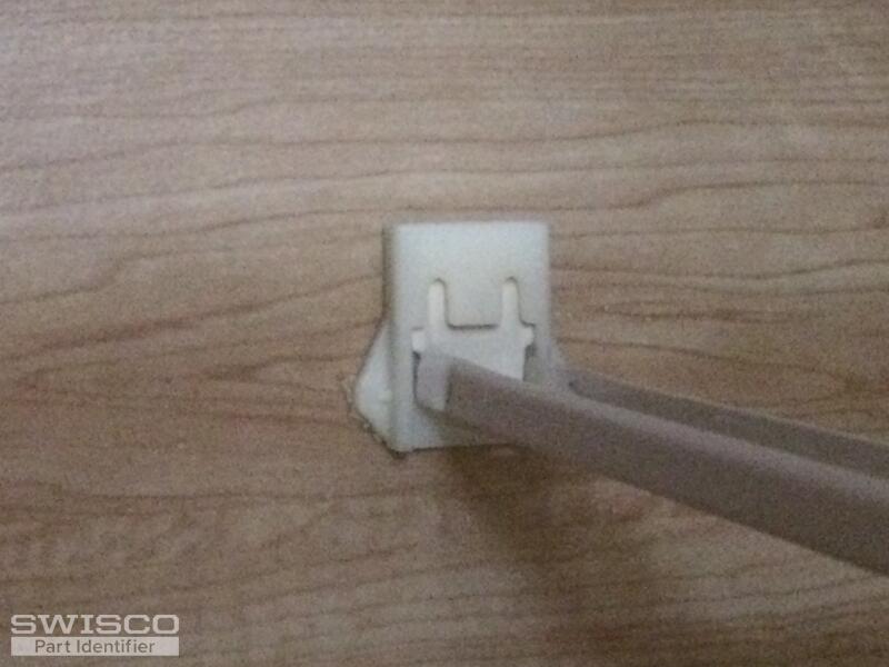 AdamsBackSocket
