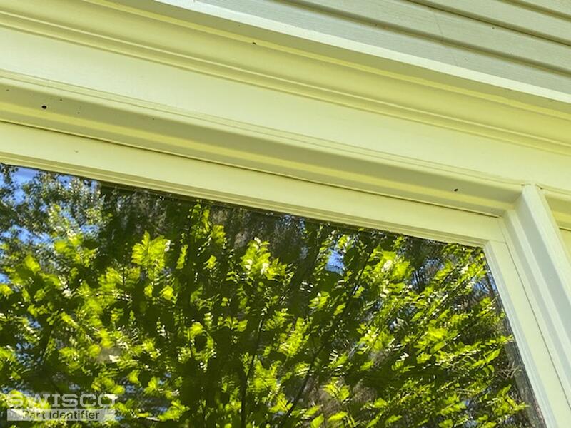 Window