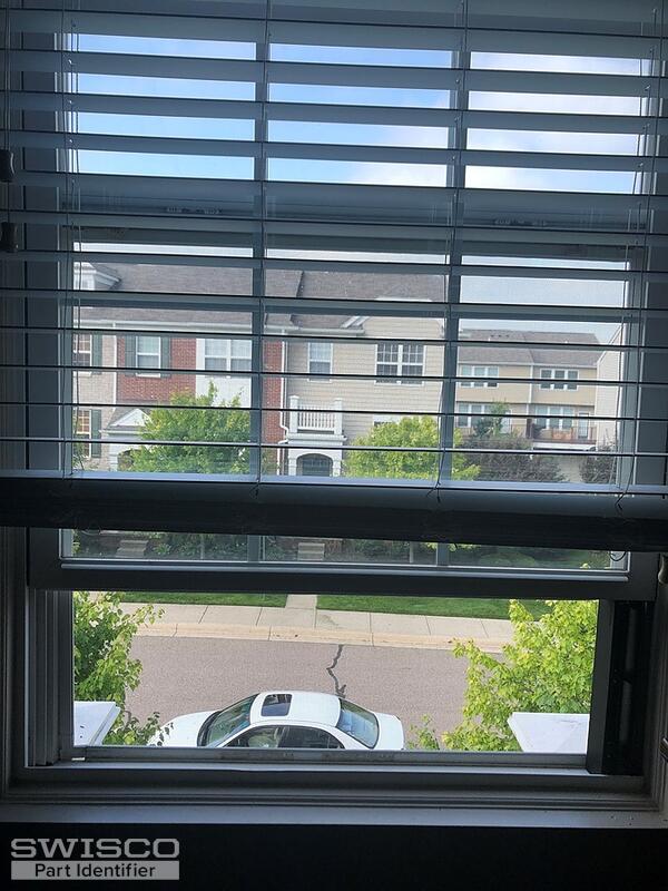 Window pics