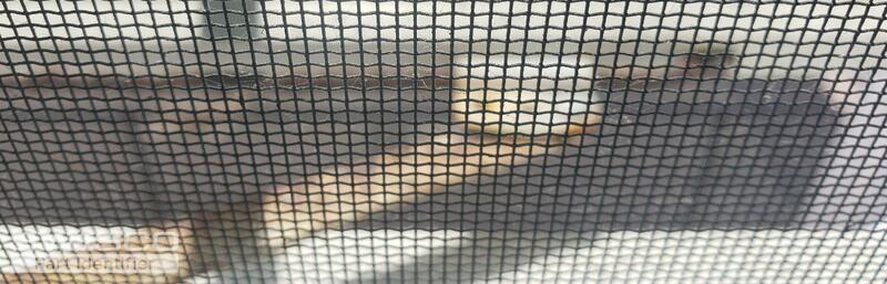 Awning Window 2