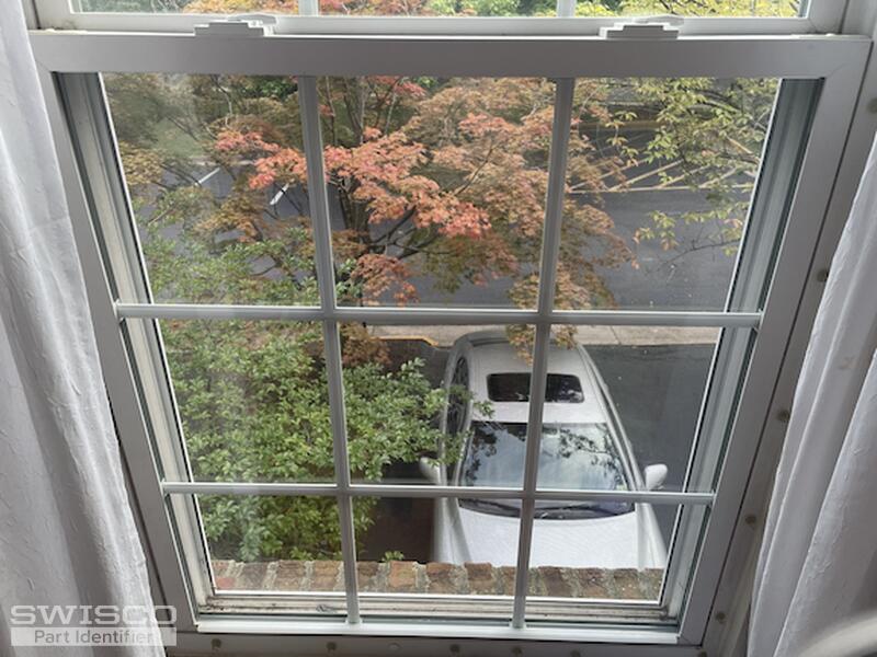 bottom_window