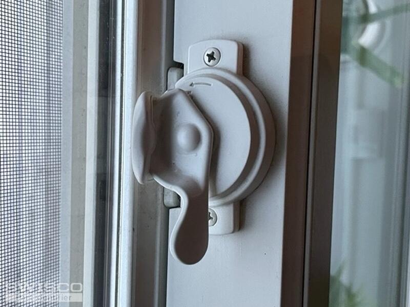 window 01