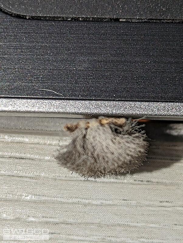 Felt_1